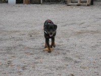 /album/aron/snimek-028h-jpg/